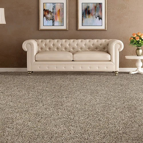 Good Brothers Flooring Plus providing stain-resistant pet proof carpet in Rocklin, CA