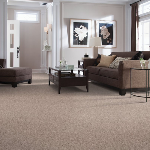Good Brothers Flooring Plus providing stain-resistant pet proof carpet in Rocklin, CA- Elegant Appeal III
